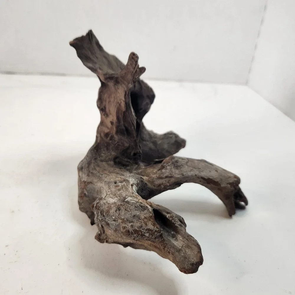 Natural driftwood for aquarium/terrarium/arts and crafts/Taxidermy Burl Habitat